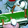 Smith Frozen Foods - processing peas